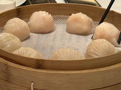 -金粤九号(李公堤店)