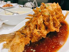 老济南糖醋鲤鱼-金春禧·鲁菜海鲜(延吉路万达店)
