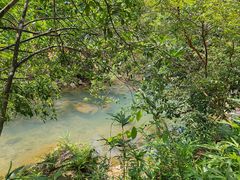 -广州白江湖森林公园