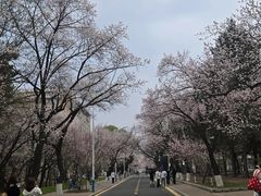 -吉林大学(南岭校区)