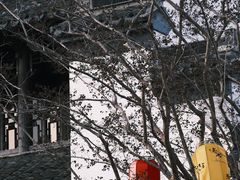 -青果巷历史文化街区