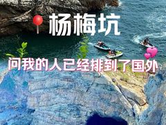 -杨梅坑