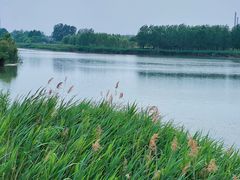 -马家湾湿地公园