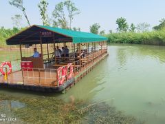 -泗洪洪泽湖湿地景区