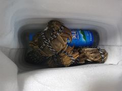-古尚锦酒楼·水上餐厅