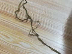 -陈记卤煮小肠