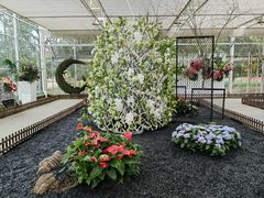 -上海鲜花港