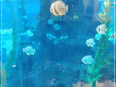 -鸿通城购物中心