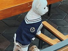 -1128港式茶餐厅(嘉信广场店)