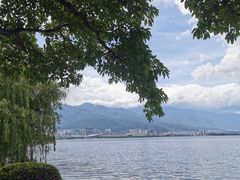 -野菌皇海景野生菌火锅(滨海大道店)
