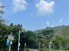 -顺峰山公园