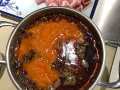 -龙福成肥牛火锅(文昌店)