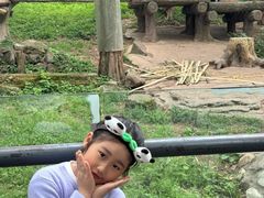 -都江堰中华大熊猫苑