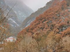 -秦岭风景区