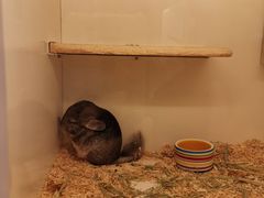 -龙猫仔乐园(惠福东路店)