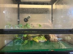 -藦茜花园宠物主题亲子互动体验馆(国顺东路店)