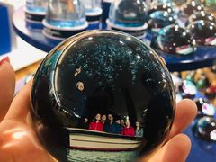 -怀托摩萤火虫洞