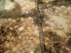 -星伦多自助料理(华润万象城店)