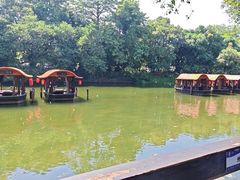 -侨美·唐荔园·40年地道粤菜