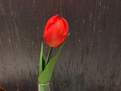 -百富源·海鲜辽菜(和平北大街店)