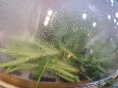 -海博汇蒸汽海鲜