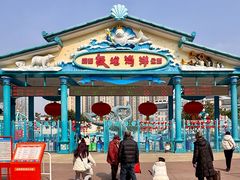 -海合安成都极地海洋公园