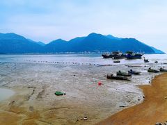 -北岐滩涂