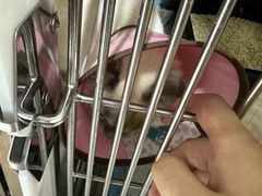 -谐和贝康宠物医院24小时·宠保定点(急重症转诊中心)