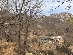 -大岭沟猕猴桃谷风景区