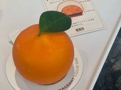 -TD66高山铁皮石斛养生茶饮