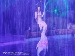 -芜湖新华联大白鲸海洋公园