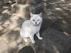-四门塔风景区