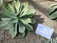 -南山植物园