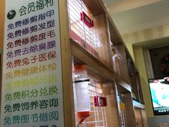 -宠物兔专门店(天丰利市场店)