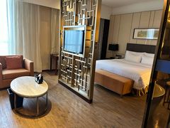 -徐州博顿温德姆酒店(高铁东站店)