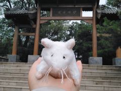 -阳台山自然风景区