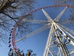 -哈尔滨文化公园