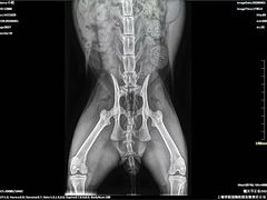 -莘程宠物医院(金山店)