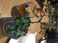 菩提树素食餐厅-菩提树·素食餐厅(汇智国际商业中心店)