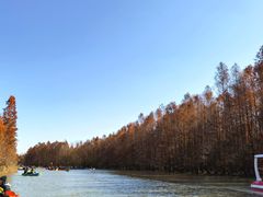 -上海海湾国家森林公园