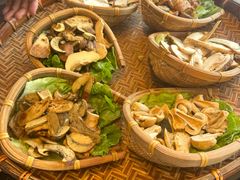 -滇野云南野生菌餐厅(陕西南路店)