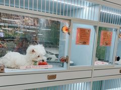 -FAELING PETS美天灵宠物(合生汇店)