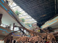 -安徽省地质博物馆