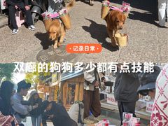 -南诏风情岛