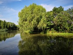 景点-新江湾城公园
