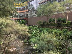 -宁海森林温泉