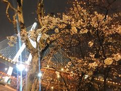-上海南浦大桥长途旅游客运站