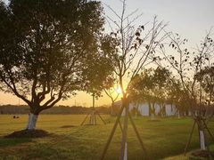 -上海海湾国家森林公园