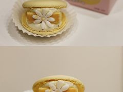 -好利来(健德门店)
