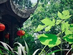 -成都老君山